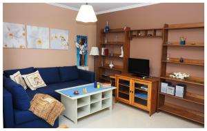 庞特维德拉O FOGAR DE AREAS的客厅配有蓝色的沙发和电视