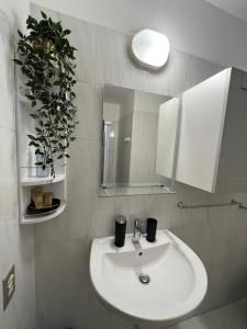 卡沃CASA ELISA的浴室设有水槽、镜子和植物
