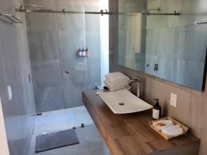 圣玛丽戴尔奥罗Hotel CaLu 21 en La Laguna, Santa María del Oro的浴室配有盥洗盆和带镜子的淋浴
