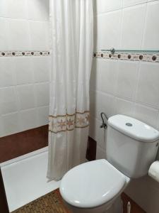 坎加斯-德奥尼斯V.V Casa Mones的一间带卫生间和淋浴帘的浴室