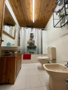 巴加Can Xuneta的一间带水槽、卫生间和淋浴的浴室
