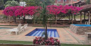 圣希尔Hotel Campestre UMPALÁ的棕榈树和粉红色花卉的游泳池