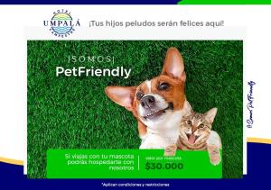 圣希尔Hotel Campestre UMPALÁ的网站上的狗和猫的照片