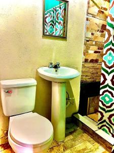 塞罗蓬塔Bambito´s Café & Hostel的一间带卫生间和水槽的浴室