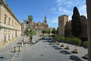 塞维利亚Luxury Apartment with views to Alcazar, Cathedral and Giralda.的一条棕榈树和建筑的空街