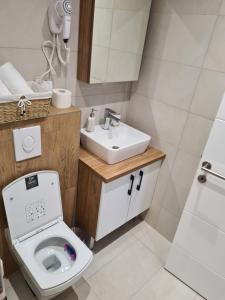新帕扎尔Glass Apartmani的浴室配有白色卫生间和盥洗盆。