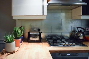 伦敦Stylish and Spacious Apartment with Terrace的厨房配有炉灶和一些盆栽植物