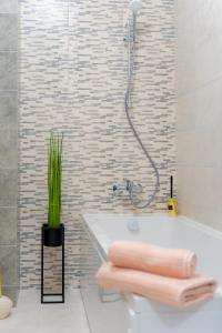 雅西New Apartments IuliusMall-Apartamente cu 2 camere的浴室配有水槽、淋浴和浴缸。