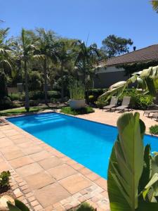 德班维尔African Palm Cottage and Guesthouse的庭院内的游泳池,带椅子和树木