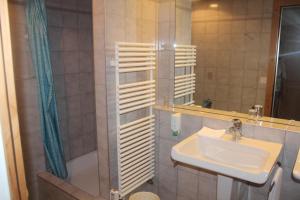 吕策尔弗吕奥伯多夫社区酒店的一间带水槽和淋浴的浴室