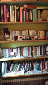 拉波拉诺泰尔梅宫比扎里旅馆的书架上堆满了书