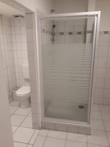 哥达Ferienwohnung Antik的一间带卫生间的浴室内的玻璃淋浴间