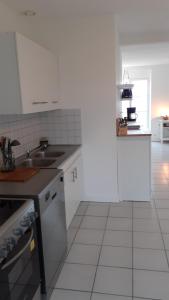杜瓦讷内L'APPART DU NEVET的白色的厨房设有水槽和台面