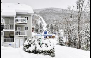 斯托纳姆Condo Ski-In Ski-Out Stoneham的相册照片