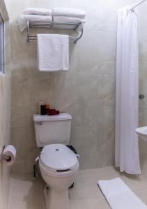 阿瓜斯卡连特斯Hotel San Antonio的浴室配有白色卫生间和淋浴。