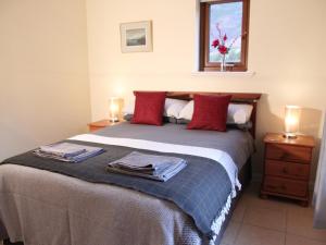 KillilanRocky Mountain View Cottage的一间卧室配有一张带红色枕头的床和一扇窗户