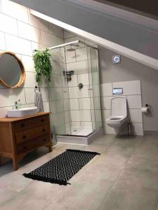 Sunridge ParkLoft on Honey的一间带水槽、卫生间和镜子的浴室