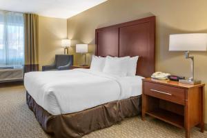 洛斯阿拉莫斯洛斯阿拉莫斯康福特茵套房酒店 的配有一张大床和一部电话的酒店客房