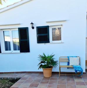 卡拉恩·布拉內斯Villas El Pinar的蓝色的房子,带椅子和植物