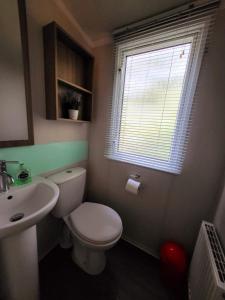 芬当5 Geranium, Holiday Home in Oakdene Forest Park的一间带卫生间、水槽和窗户的浴室