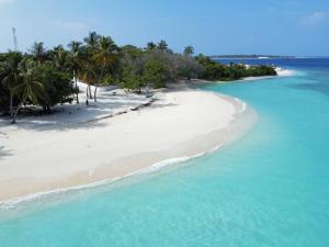 KudarikiluNihaali Maldives的享有棕榈树海滩和大海的空中景致