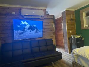 迈季代勒舍姆斯Cozy的一间带沙发的卧室和墙上的电视