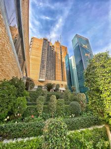 巴格达Babylon Rotana Hotel的享有城市美景,拥有高大的建筑和灌木丛