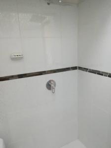利马Studio entero cerca al Palacio Gobierno的带淋浴喷头的浴室