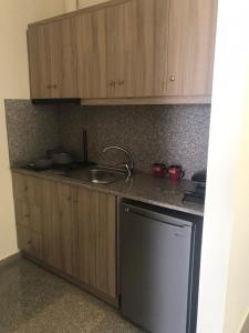 佩塔里德海昂Nereids Apartments-Thetis的厨房配有木制橱柜、水槽和洗碗机。