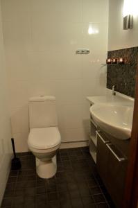 易拉斯加威Vanamo的一间带卫生间和水槽的浴室