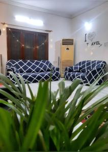 海得拉巴KyGo Hostels的客厅配有两张沙发和一个植物