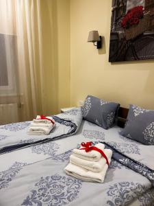 利沃夫Homey apartment on Vicheva Str.的客房内的两张床和毛巾