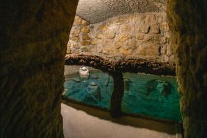 埃里塞拉EcoNature Dagaio Handmade Paradise的洞穴中水池的景色