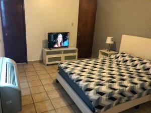 伊莎贝拉Haudimar PH Beachfront Apt 4BR/3Bath的一间卧室配有一张床和一台电视。