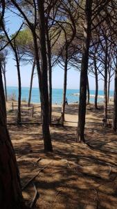 切齐纳码头Casa Prati的一片树木繁茂的海滩,一片大海