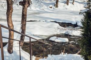 索洛钦Августин的雪中的小溪,地面上积雪