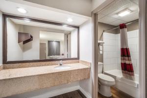 萨姆特Red Roof Inn Sumter的一间带水槽、卫生间和镜子的浴室
