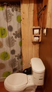 AlaskaCabaña Doña dacia的一间带卫生间和淋浴帘的浴室