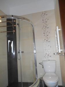 Nowa WiesAgroturystyka na Górce的一间带卫生间和玻璃淋浴间的浴室