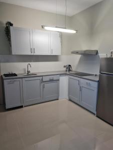 BaldoneGrundenberga的厨房配有白色橱柜和不锈钢用具