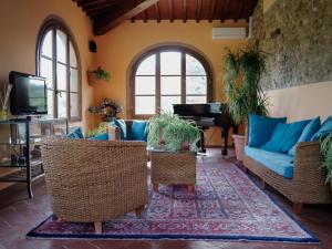 蒙泰斯佩尔托利Torre di Polvereto的客厅配有蓝色的沙发和钢琴