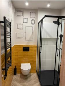 罗兹Piotrkowska 89 Apartments & Suites的一间带卫生间和淋浴的浴室