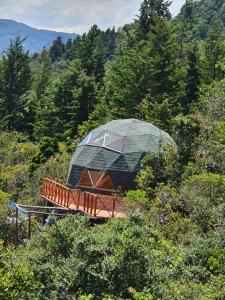 瓜斯卡Glamping El Edén Guasca Cundinamarca的森林中间的圆顶房屋