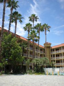 伯班克华美达伯班克酒店的前面有棕榈树的酒店