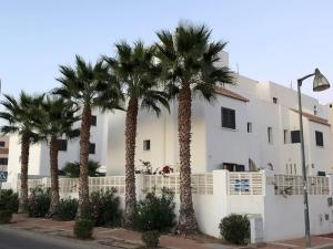 阿尔梅利马villa cinco palmas的白色建筑前的一组棕榈树