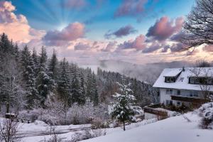 特里贝格Landhaus Valentin的雪中树云的房子