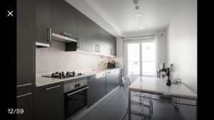 萨卡文Modern Apartment for Family and Group of Friends的厨房配有灰色橱柜和台面