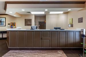 杰尼瓦Comfort Inn & Suites Geneva- West Chicago的医院里设有酒吧的大型大堂