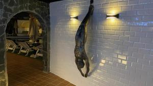 马斯帕洛马斯彩虹高尔夫别墅度假酒店，仅限男同性恋者的挂在餐厅墙上的鱼