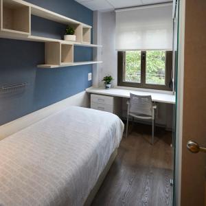 潘普洛纳阿尔伯格拉拉奥纳旅舍的一间卧室配有一张床、一张书桌和一个窗户。